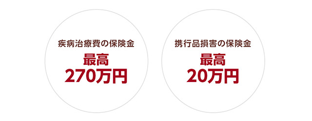疾病治療費の保険金 最高270万円　携行品損害の保険金 最高20万円