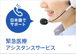 緊急医療アシスタンスサービス