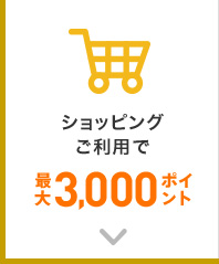 ショッピングご利用で最大3,000ポイント