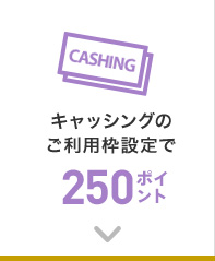 キャッシングのご利用枠設定で250ポイント