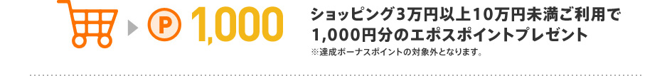 ショッピング3万円以上10万円未満ご利用で1,000円分のエポスポイントプレゼント ※達成ボーナスポイントの対象外となります。