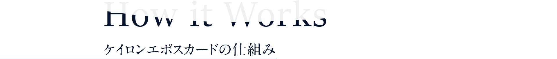 How it Works　ケイロンエポスカードの仕組み