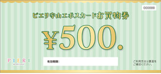 ピエリ守山エポスカード お買物券