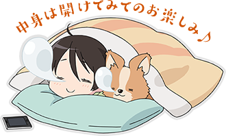 中身は開けてみてのお楽しみ♪